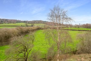 Photo 46- click for photo gallery